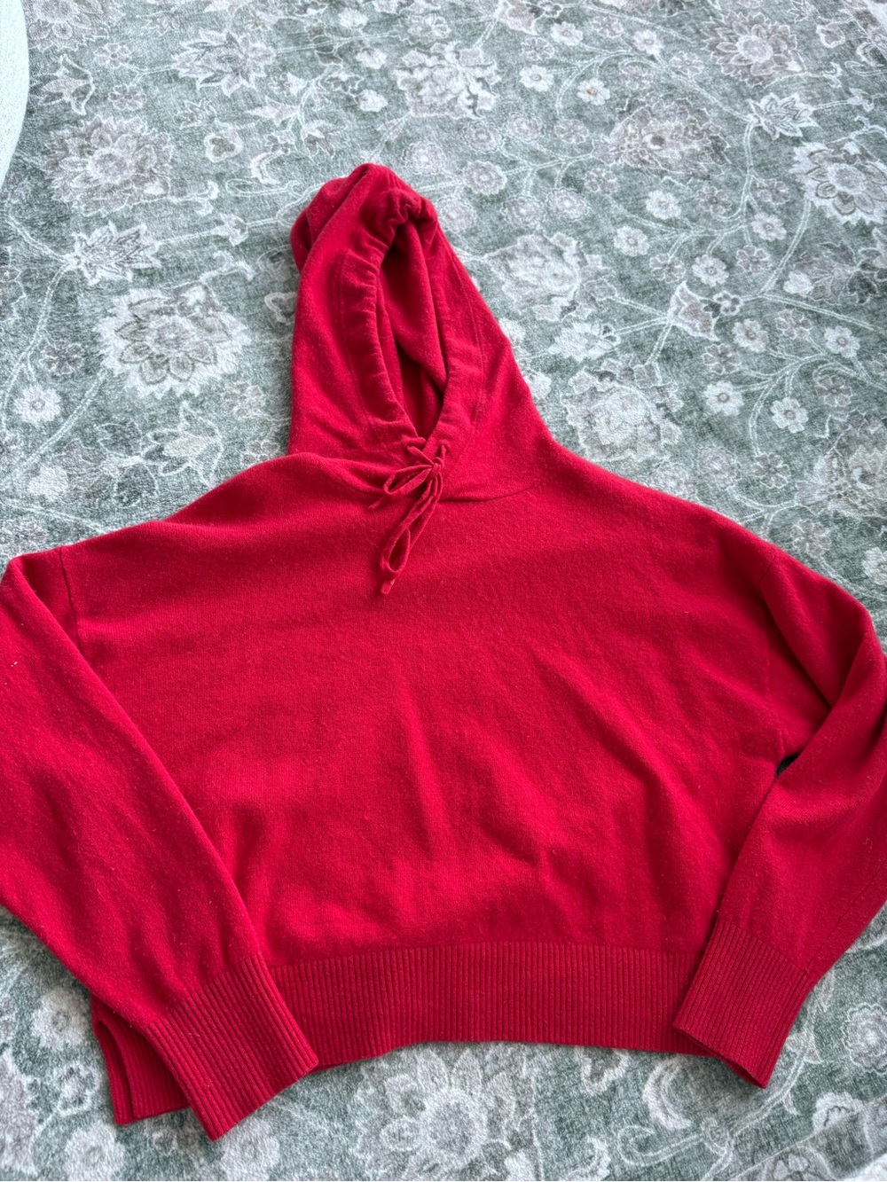 Aritzia- Babaton cashmere Classic Pullover Hoodie